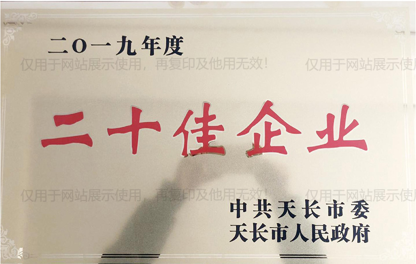 二十佳企业