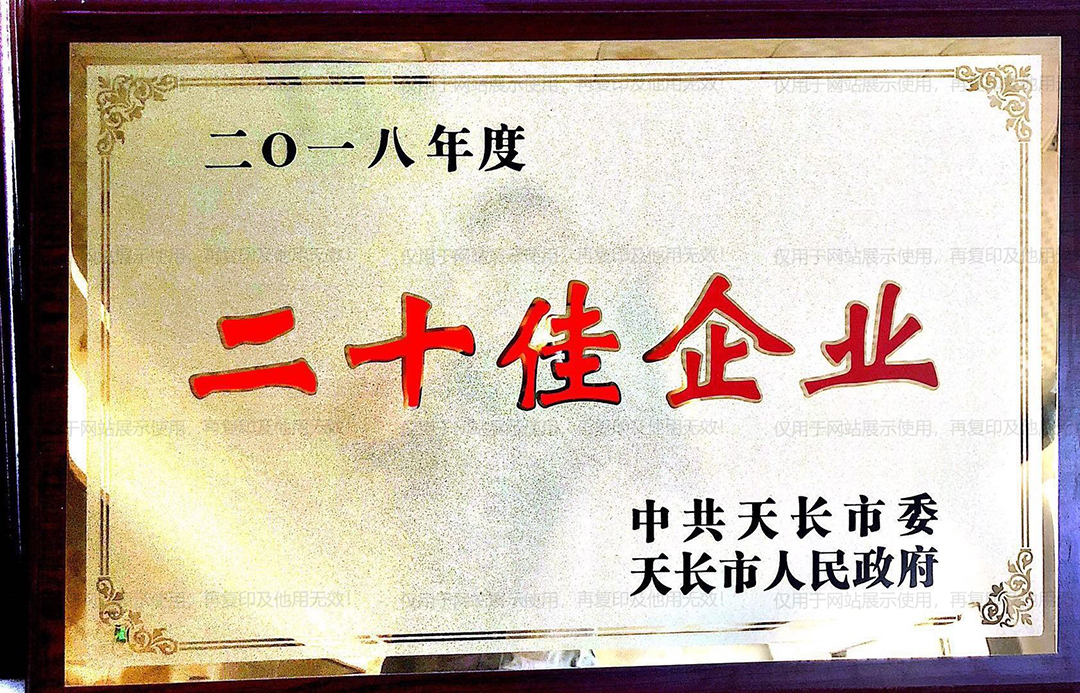 二十佳企业